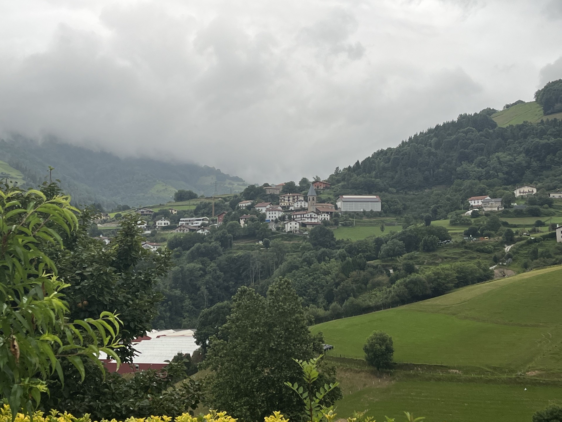 Belauntzako emaitzak