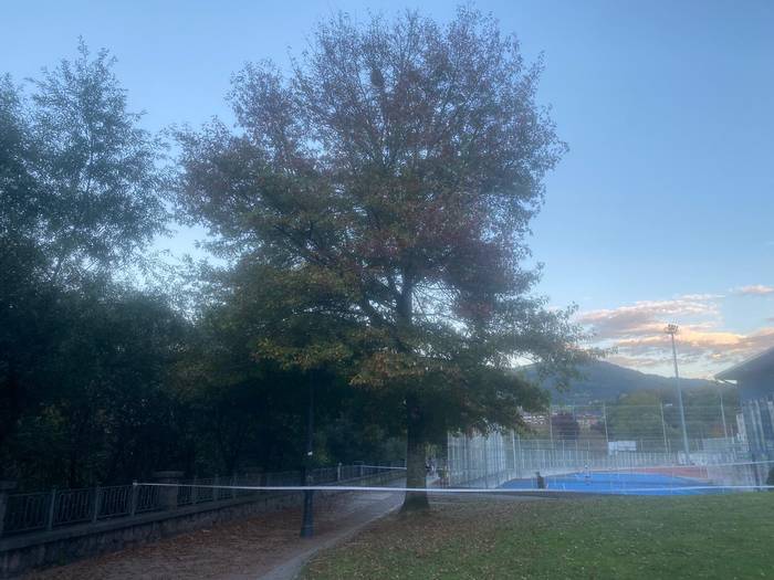 Asiar liztorragatik, Berazubiko Euskaldun Berria zubi ingurua itxita