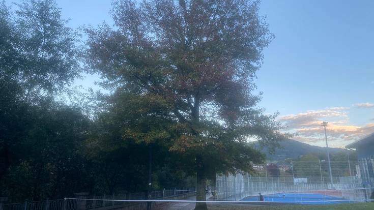 Asiar liztorragatik, Berazubiko Euskaldun Berria zubi ingurua itxita