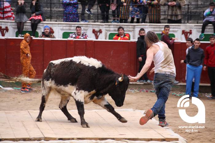 Zezenak adarrak okerrak ditu 82 1488277628302