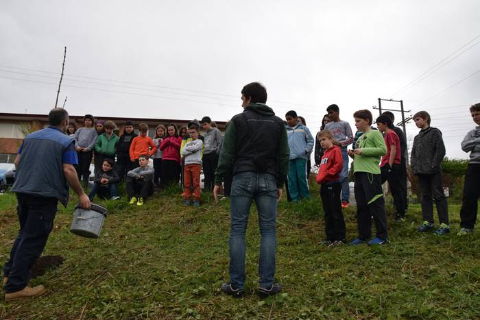 Zuhaitz eguna Ibarra 3 1460992033584