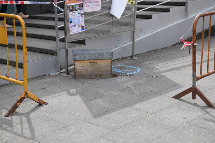 20.000 erle inguru Usabalen 5 1493910681011