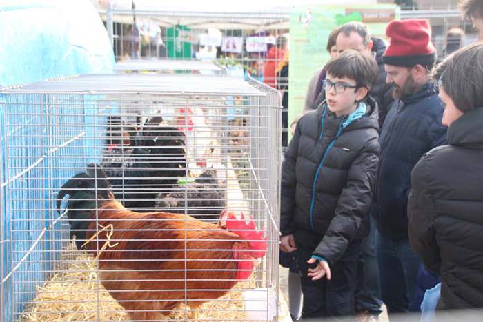 Tolosako Gabonetako azoka be 103 1514054539428