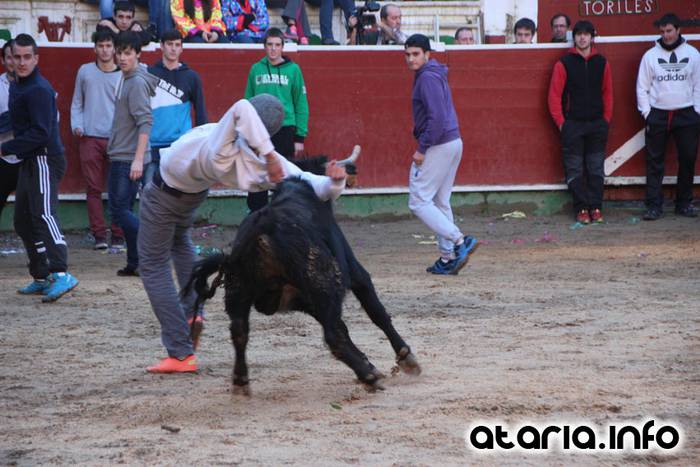 ostegun gizena 2016 zezen plaza 102 1454608293556