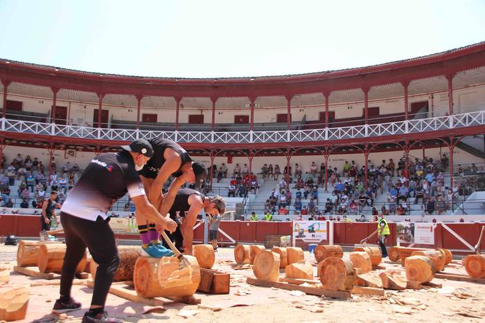 Arria V.a eta Izeta VI.a iza 98 1596214406782