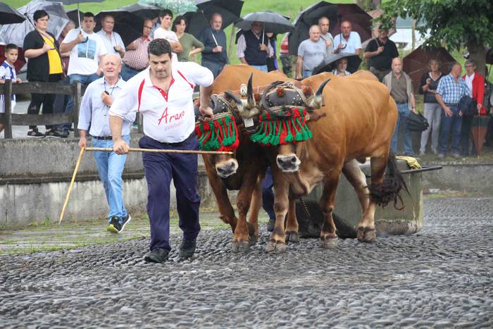 Zizurkil festak 2018 xiba et 27 1534452594612