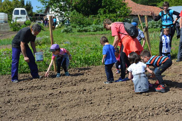 Herriko ekoizle eta kontsumi 3 1525766426472