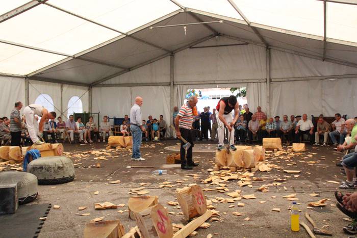 Asteasuko Festak 2016-Erretirodunen Eguna 19 1467297781198