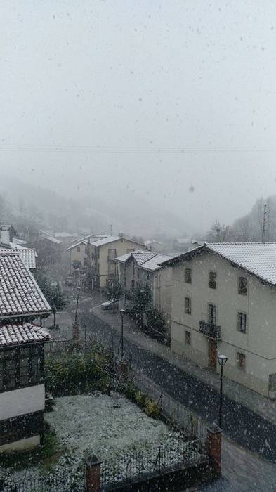 ELURRA 2017 AZAROA 1 1512123581061