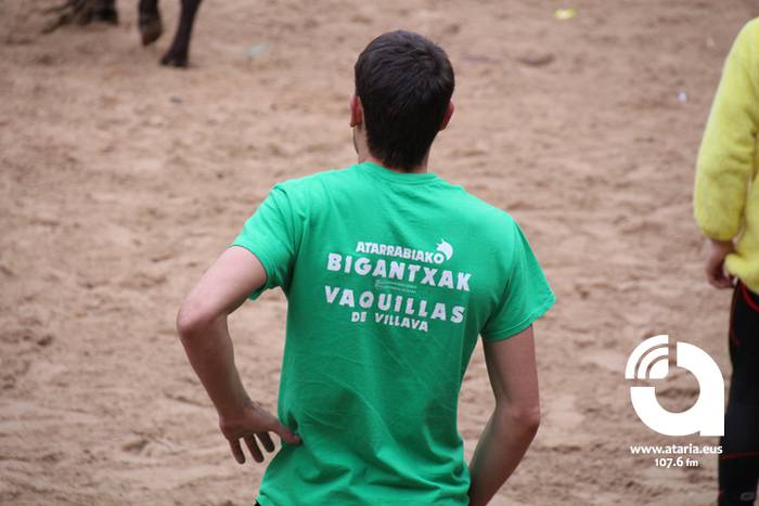 Zezenak adarrak okerrak ditu 94 1488277706956