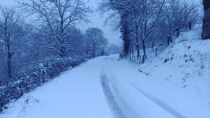 Argazki galeria: Tolosaldea, 3 1519809655435