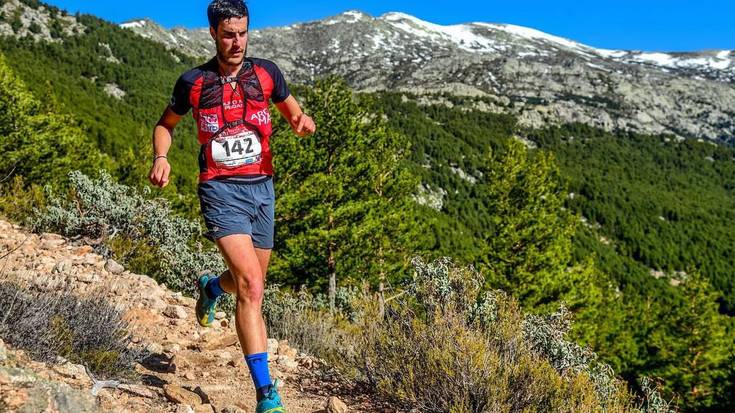 Daviden ametsa, errealitate