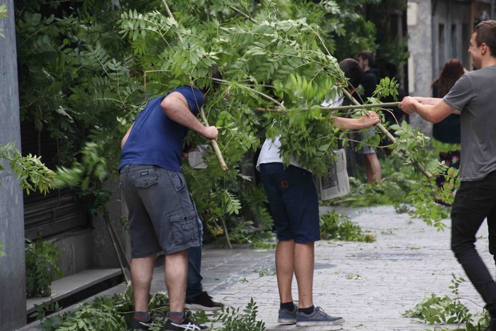 Berdez esnatzen da ekainaren 24a - 9