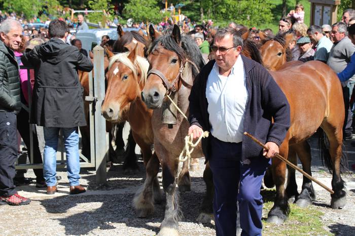 Larre irekiera Larraitzen 20 67 1493640069108