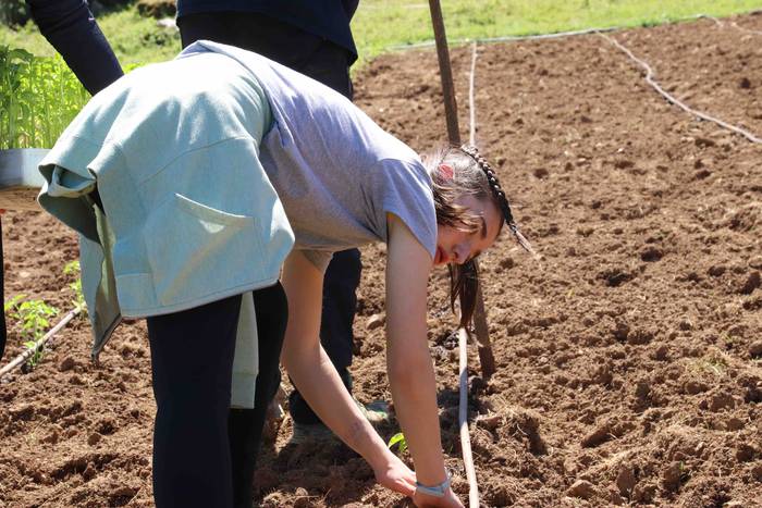 Erein dituzte lehen piperrak 22 1559303471665