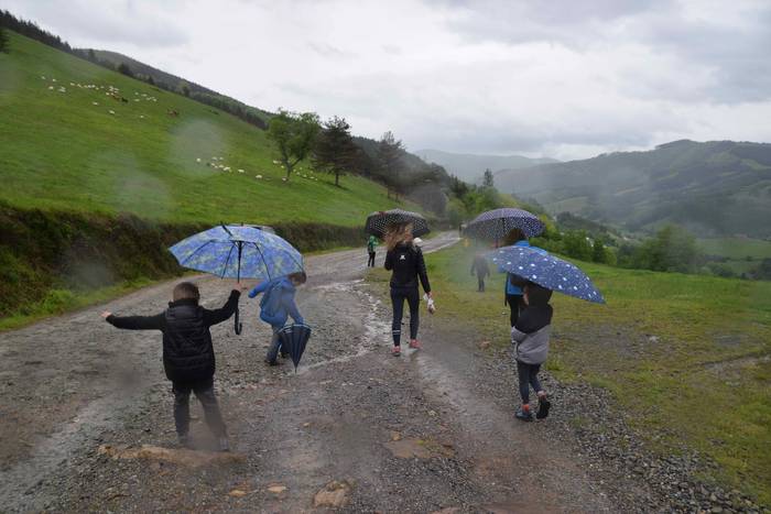 Larre irekiera Berastegi 202 24 1621072182825