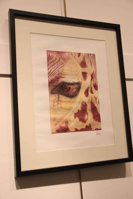 ander ortiz de murua aldaket 1 1542897000277