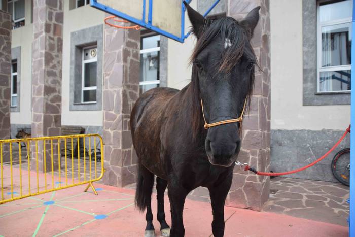 Berastegi hogeita batgarren  22 1572793372521