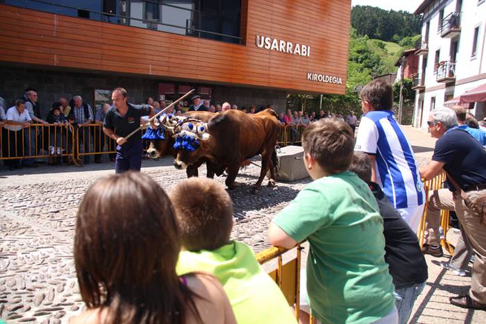 Idi erakustaldia Asteasuko p 31 1494859978309
