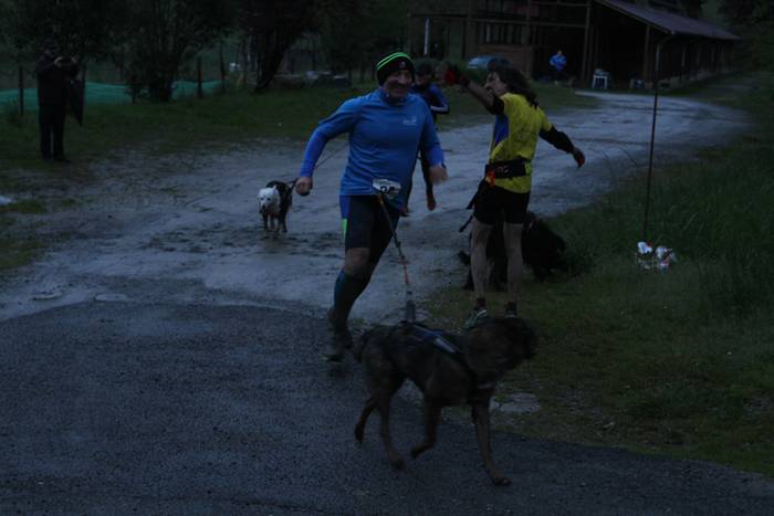 Zizurkil, txakur krosa 54 1490474111458