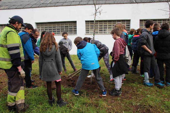 zuhaitz landatzea 2016 tolosa 6 1456503823924