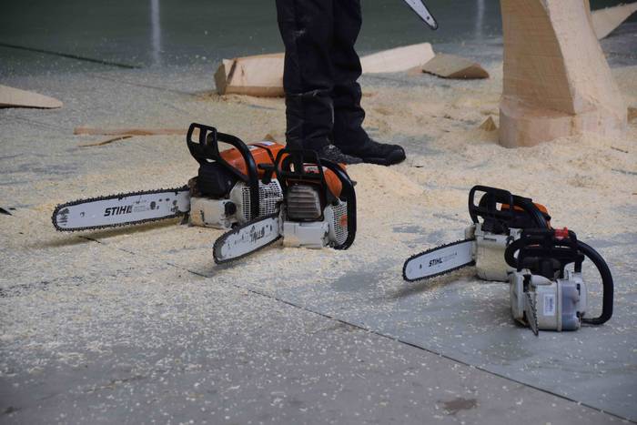 Larraul san bartolome eguna  2 1535187376101