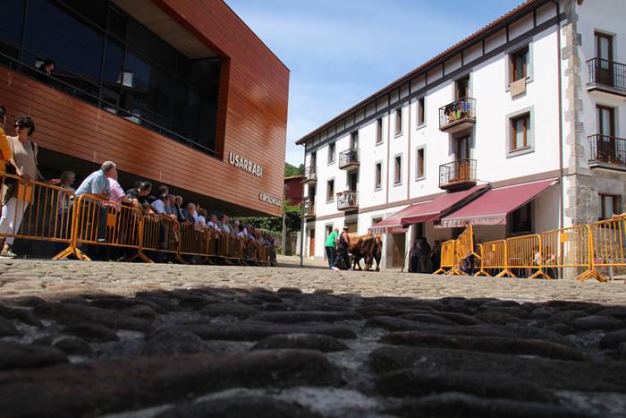 Idi erakustaldia Asteasuko p 4 1494859805083