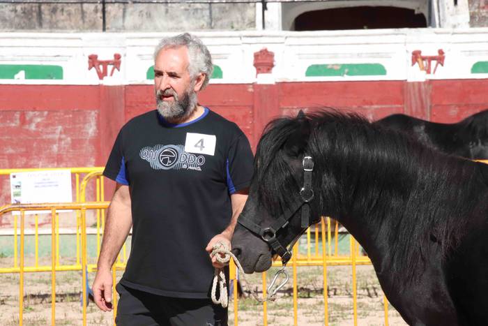 pottoka topaketa tolosa 19 1537627296865