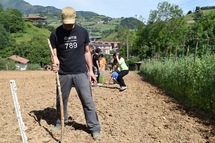 Piper landaketa Ibarran, 201 28 1494844430165