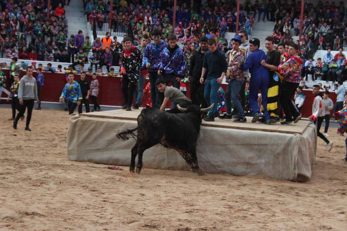 Inauteriak 2020, zezenak Ost 24 1582222552955