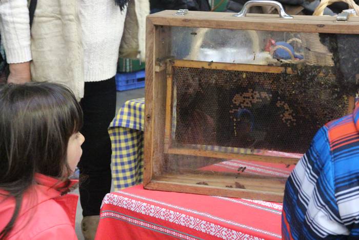 Geroz eta jendetsuagoa 18 1509896901565