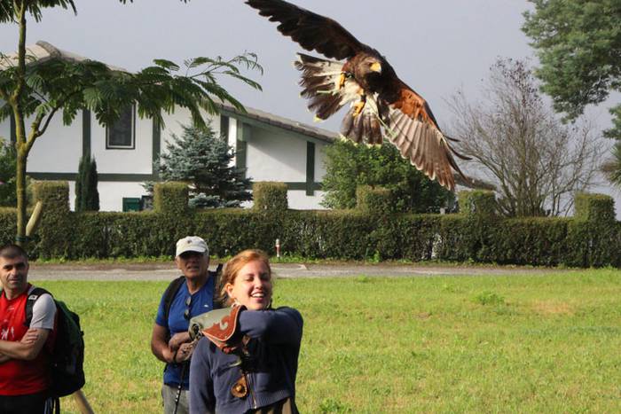 2016 bidea 41 1471776037070