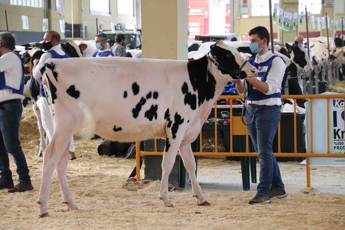 XII. Euskal Herriko Frisoi T 4 1637418664270