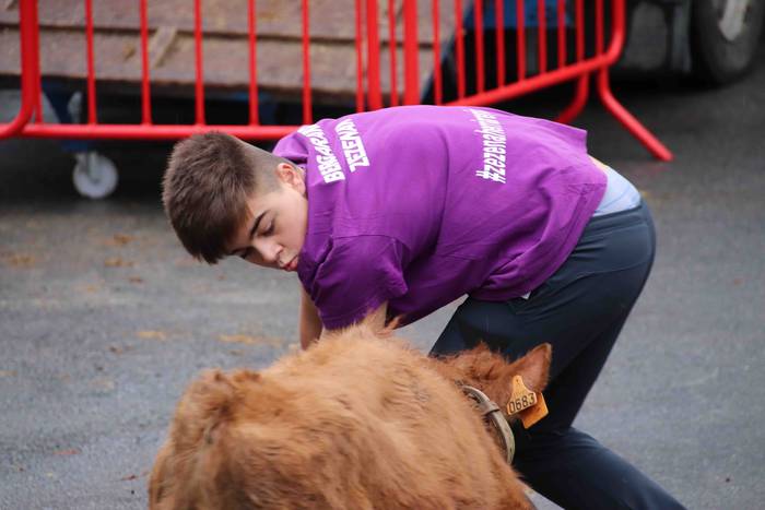 Amasako San Martinak 2019 21 1573305140383