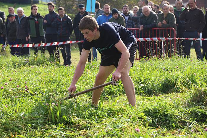 AMASA SAN MARTINAK. SEGA DES 29 1511014651674