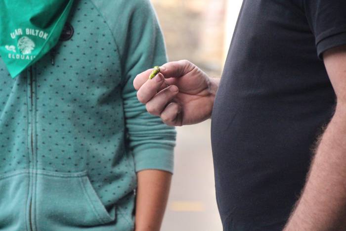 Pilota eta hamaiketakoa, egu 33 1505042982208