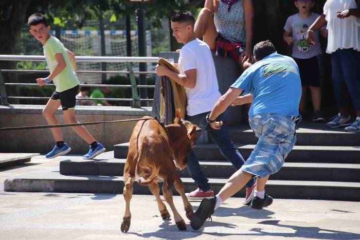 Festak hasteko, poniak eta z 48 1566994009386