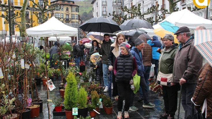 Zuhaitz eta zuhaixkek herritarrak erakarri dituzte