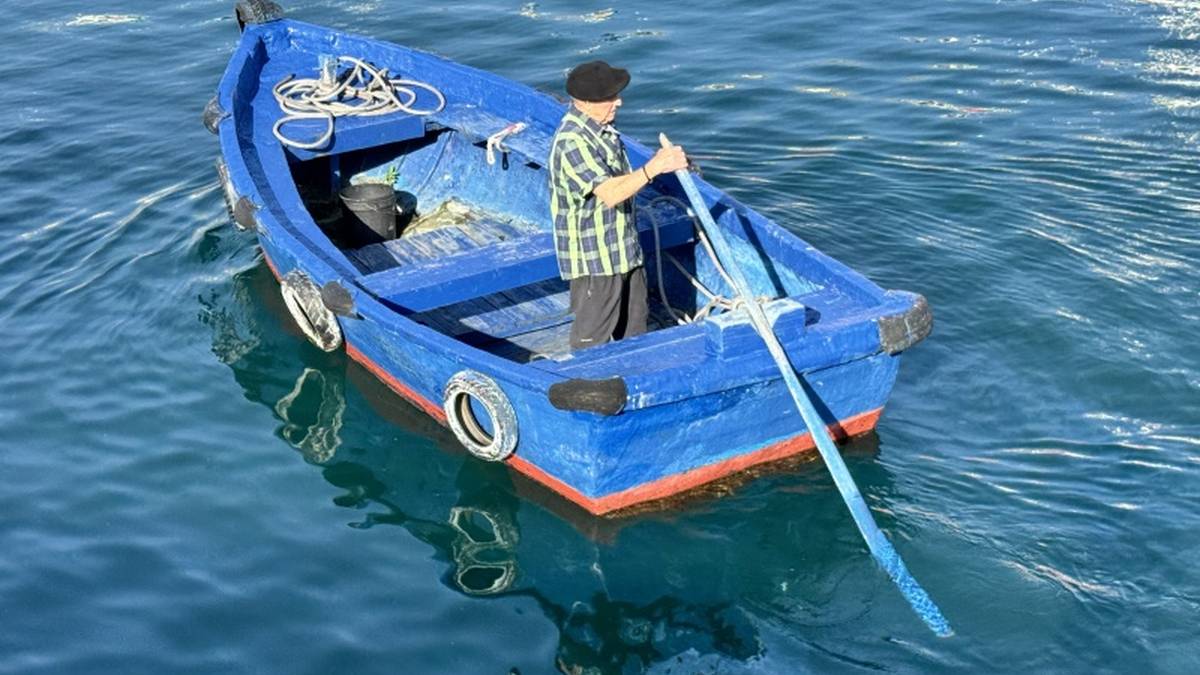 Eskualdeko bi film labur, Zinemaldiko Eusko Label saileko finalean