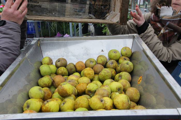 Zuhaitz Azoka Tolosan 2016 10 1456601468948