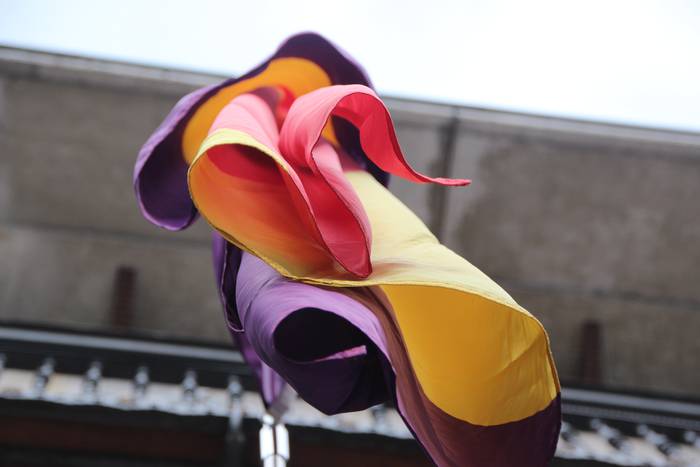 Errepublikar bandera Tolosako udaletxean 4 1460805562507