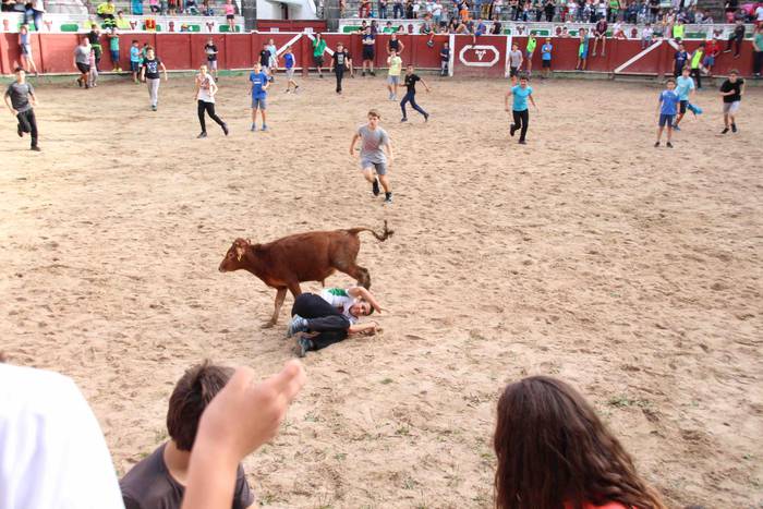 Zezen plaza hartu dute umeek 31 1539360837541