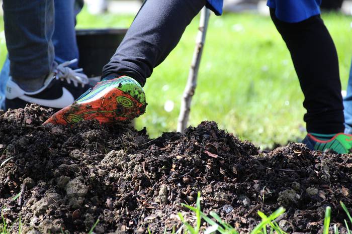 intxaurrondoa landatu villab 19 1647095073934