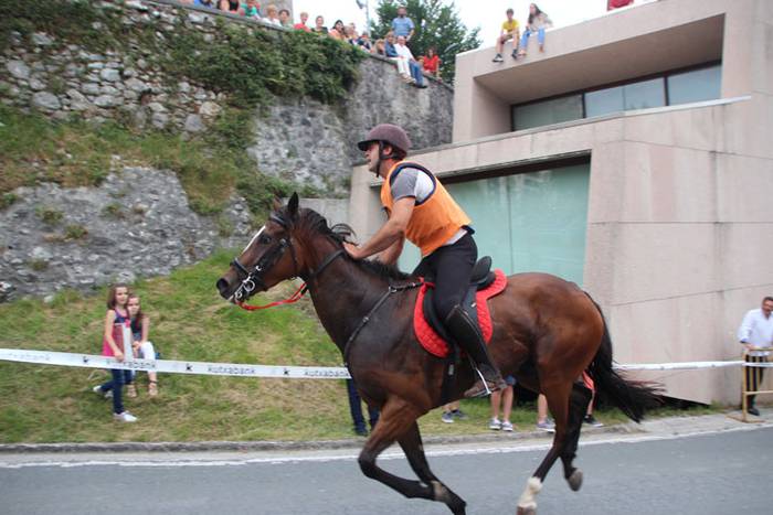 Zaldi gainean lasterka Abalt 31 1498413198918