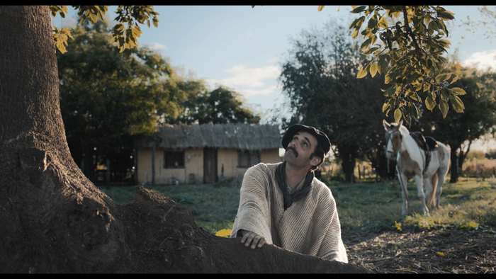 Eskualdeko hainbat artista, Zinemaldiko pantaila handian