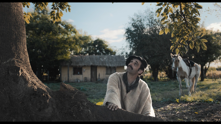 Eskualdeko hainbat artista, Zinemaldiko pantaila handian