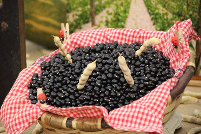 Tolosak Babarruna 22 1448111669529