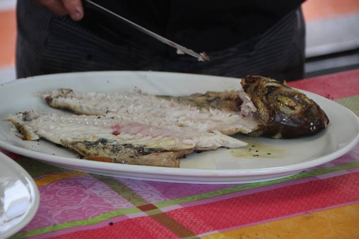 Dastatu dituzte lehen bisigu 15 1496503422645