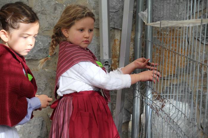 Auzolanaren fruitu, azoka 71 1541961628756