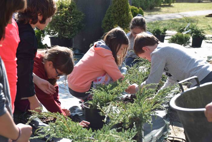 Zuhaitz Eguna ospatzen ari d 15 1553854257397